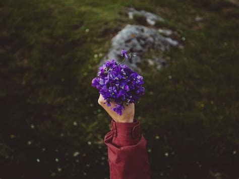 Premium Photo Cropped Image Of Hand Holding Purple Flowers On Field