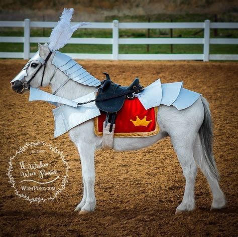 Medieval Horse Armour Costume For Horses And Ponies By Wishpony