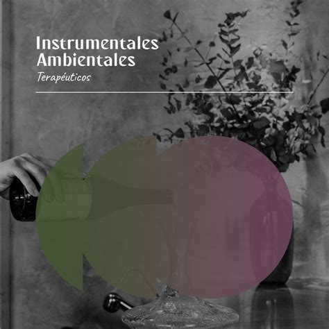 Zzz Instrumentales Ambientales Terap Uticos Para La Hora De La Cama Zzz