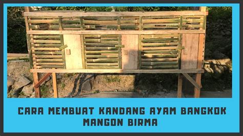 Cara Membuat Kandang Ayam Dari Bambu Youtube