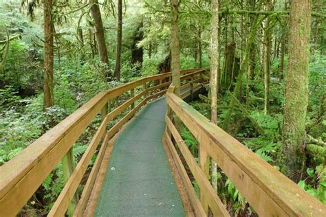 Alaska Rainforest Sanctuary (Ketchikan) - All You Need to Know BEFORE ...