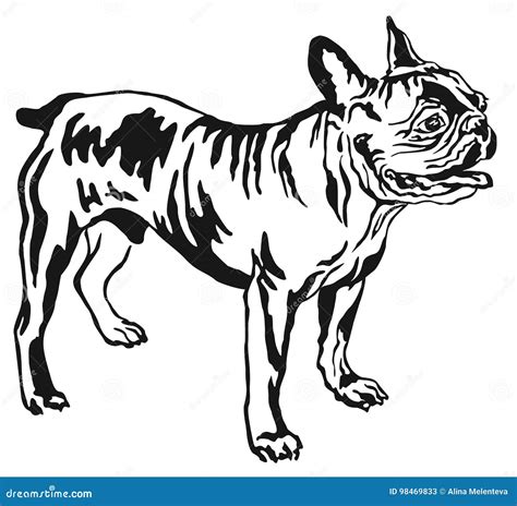 Standing Bulldog Funny Smiling Dog Cartoon Character Contour Vector