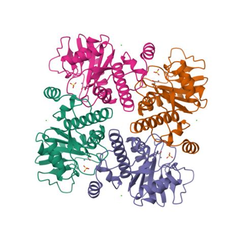 Rcsb Pdb Fua L Fuculose Phosphate Aldolase Crystal Form K