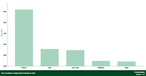 Top Countries For Cashew Nuts Production