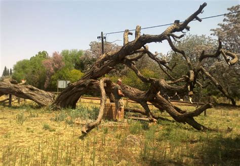 Boesmansgat Sinkhole In Kuruman Northern Cape