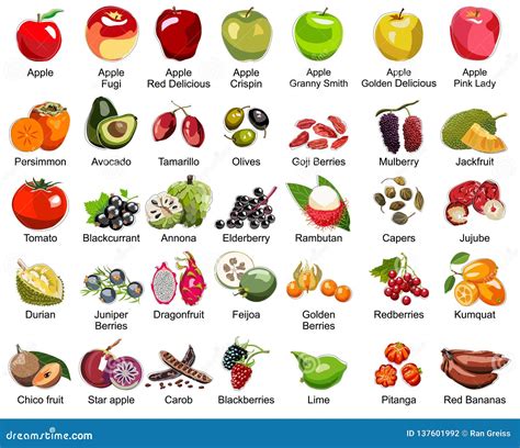 Colección Parte 2 Del â De 35 Iconos De Las Frutas Todos Los Tipos