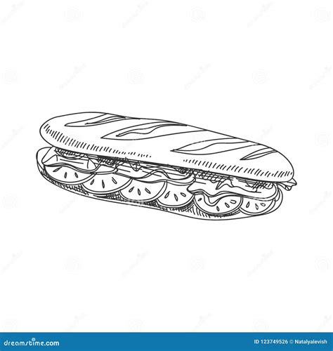 Ejemplo Dibujado Mano Del Baguette Del Bocadillo Del Vector Ilustración