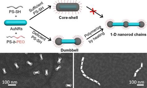 Site Specific Chemistry On Gold Nanorods Curvature Guided Surface