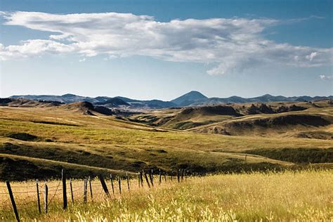 2900 Montana Plains Stock Photos Pictures And Royalty Free Images Istock