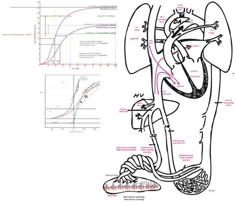 Anesthesia Pages Coloring Pages