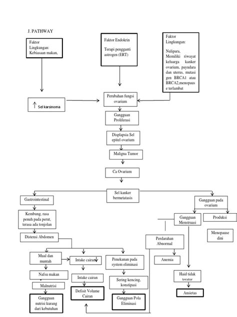 Pathway Ca Ovarium Pdf