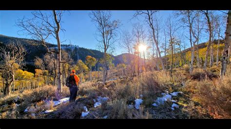 Utah Elk Hunt Spike Youtube