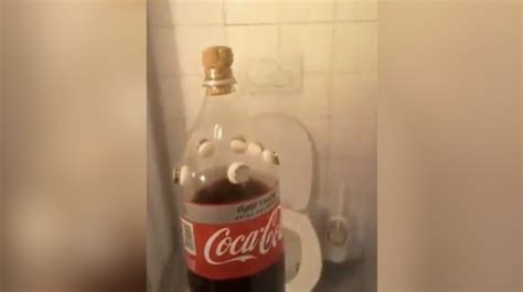 Wait For It Coke And Mentos In Toilet Experiment Goes Terribly Wrong