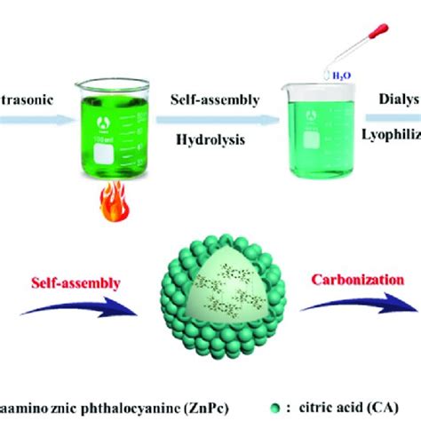 A Synthetic Routes And B Formation Mechanism For ZnPc NDs