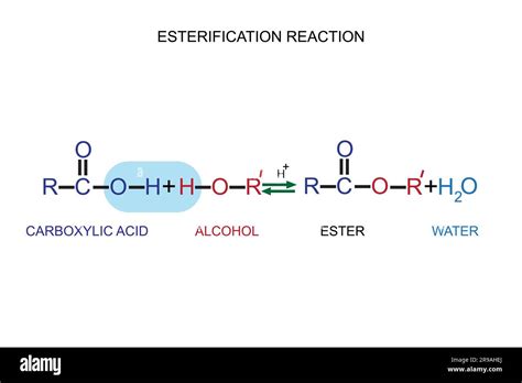 Chemical reaction vessel Cut Out Stock Images & Pictures - Alamy 