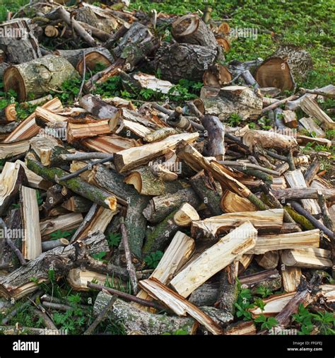 Timber Wood Stack Pile Stacked Hi Res Stock Photography And Images Alamy