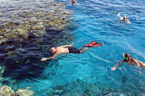 Snorkeling In Marsa Mubarak From Marsa Alam Civitatis