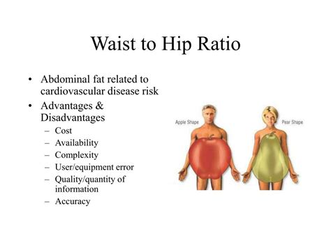 Ppt Body Composition Powerpoint Presentation Free Download Id 768847