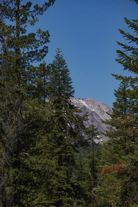 The Ninja Librarian: Photo Friday: Mt. Lassen National Park