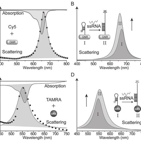 Schematic Representation Of Ssrna Detection Process Based On Pret The