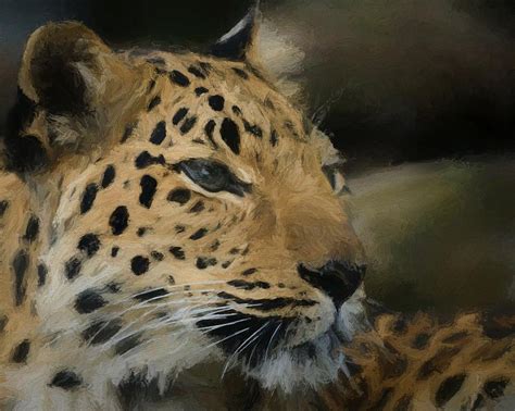 Amur Leopard Da Digital Art By Ernie Echols Fine Art America