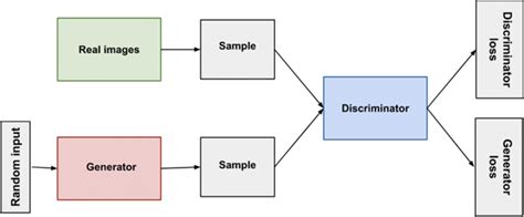 Basic GAN Architecture (image courtesy... | Download Scientific Diagram