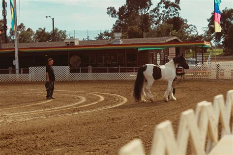 Santa Barbara National Horse Show — Earl Warren Showgrounds