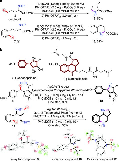 Direct Amination Of Linear Amino Acids Derivatives A Direct