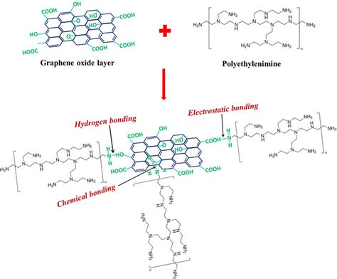 Schematic Representation Of Pei Functionalization Of Graphene Oxide