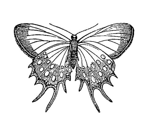 Free Printable Clip Art Black And White Printable Templates Free
