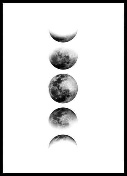 Moon Phase Posters Artofit