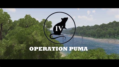 Th Infantry Brigade Operation Puma Cinematic Youtube