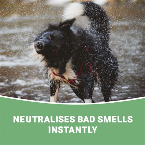 Wet Dog Spray | 100% Natural | Pets Purest