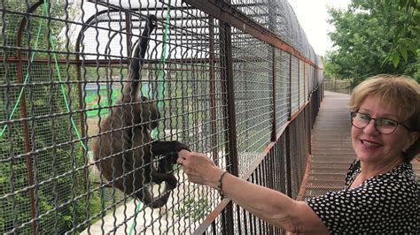 Жорик главный хулиган! Тайган - YouTube