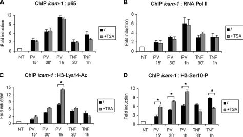 Impact Of Tsa On P65 And Rna Pol Ii Recruitment And Histone H3