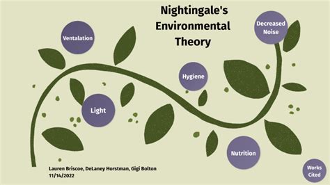 Nightingale S Environmental Theory By Lauren Briscoe On Prezi