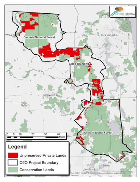 Private Land Conservation Easements Benefit National Forest Wildlife