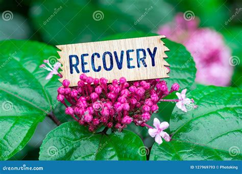 Recovery In Wooden Card Stock Image Image Of Program 127969793