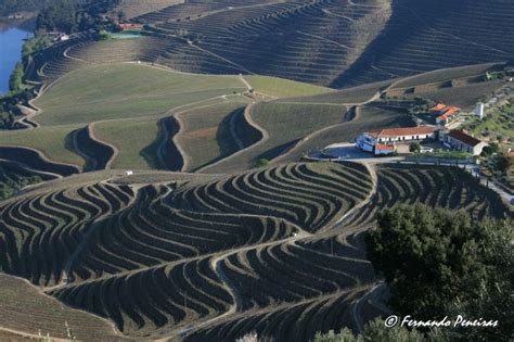 Oltre Il Muro Arte E Fotografia Fernando Peneiras Photographer