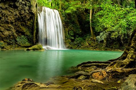 Hermosa Cascada En El Bosque Verde Foto Premium