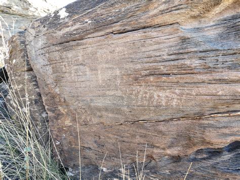 Patrimonio Almeriense Pueblo A Pueblo Grabados Rupestres Panel C