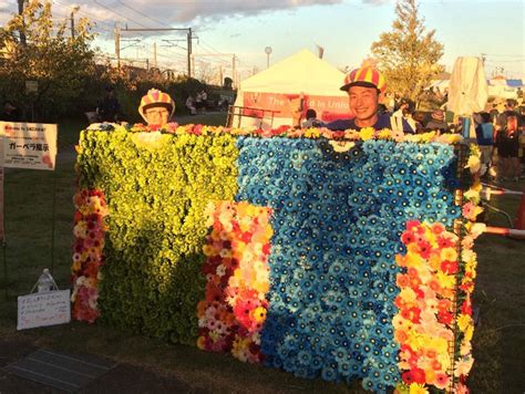 Dümmen Orange Gerberas for Rugby World Tournament 2019 Perishable News