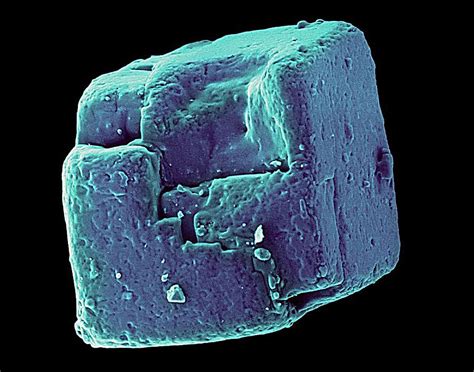 Table Salt Crystal (nacl) #6 by Dennis Kunkel Microscopy/science Photo ...