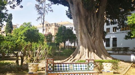 Los Jardines De Murillo De Sevilla Historia Monumentos Y Jardines