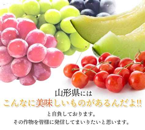 【楽天市場】【ふるさと納税】 【令和5年産 先行予約】 山形県 庄内産 アンデスメロン 青肉 5kg入り 御殿まりメロン：山形県鶴岡市