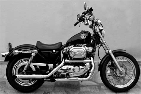 Harley Davidson Sportster Standard Motorcycles Photos