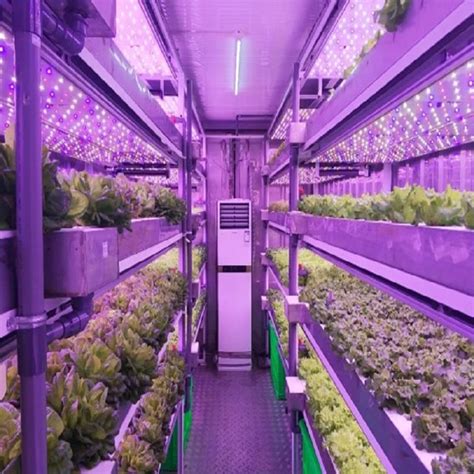 Smart Farm Grow Hydroponic Vertical Farming System Ft Shipping