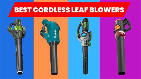 The 5 Best Cordless Leaf Blowers 2024 Power Up Your Yard Work With These Top Cordless Leaf