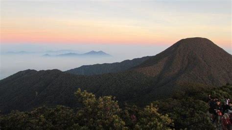 Mengintip Pesona Taman Nasional Gunung Gede Pangrango Tempat Wisata