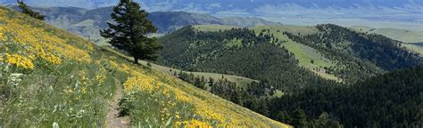 West Pine Creek Montana Reviews Map Alltrails